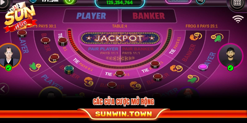 Những loại cửa cược chính trong Baccarat