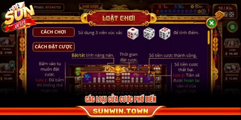 Các kiểu cược được người chơi sử dụng nhiều nhất